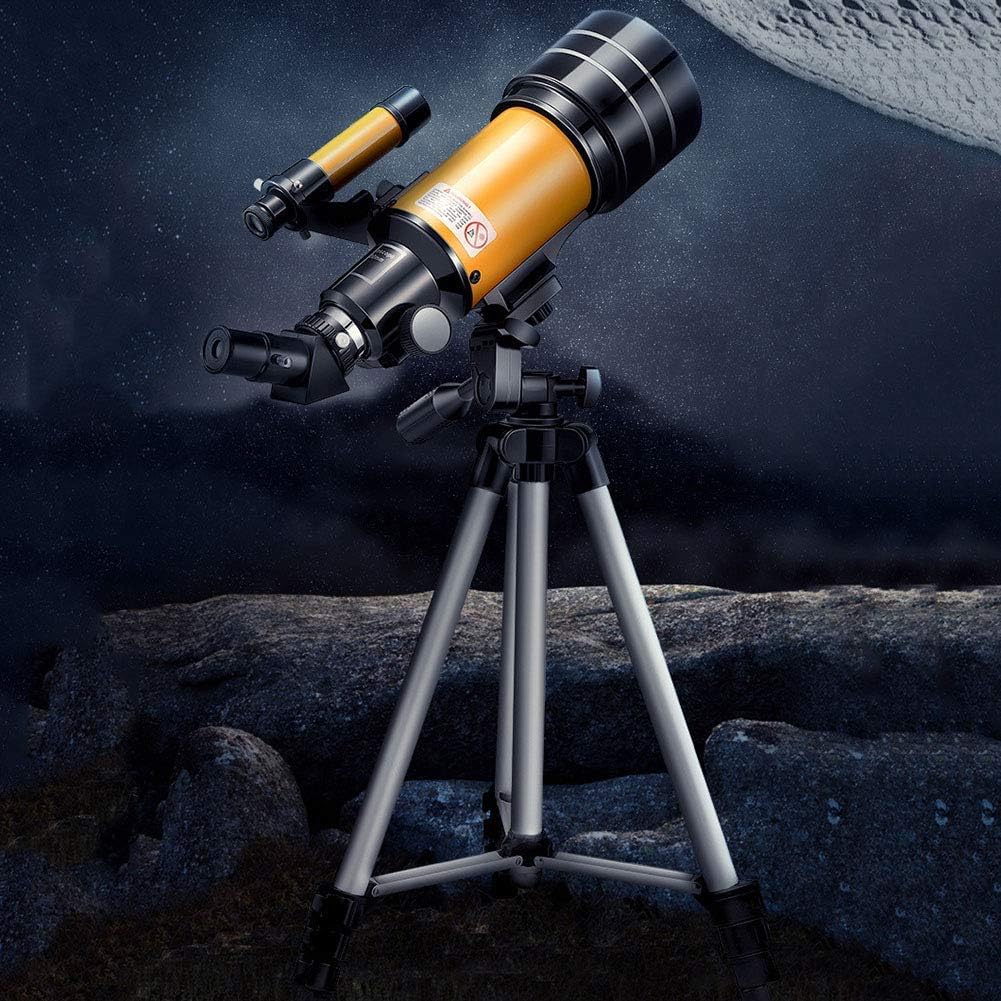 日本橋木屋 和蒸篭24cm 日本橋 木屋 大きい和セイロ 蒸籠 日本橋木屋