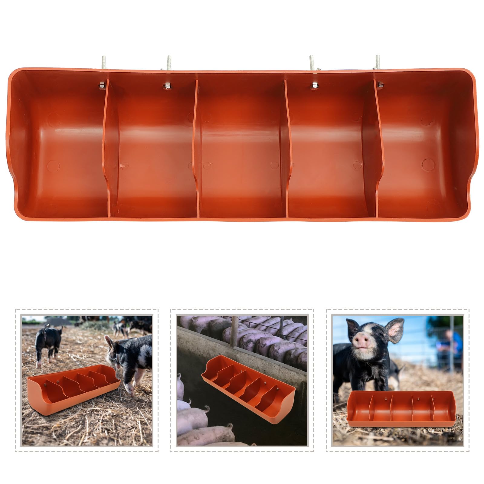 Mangiatoia per Maiali in Plastica 5 Scomparti, Resistente All’usura e Facile da Pulire, Distributore di Mangime per Suinetti per Allevamenti e Forniture Agricole