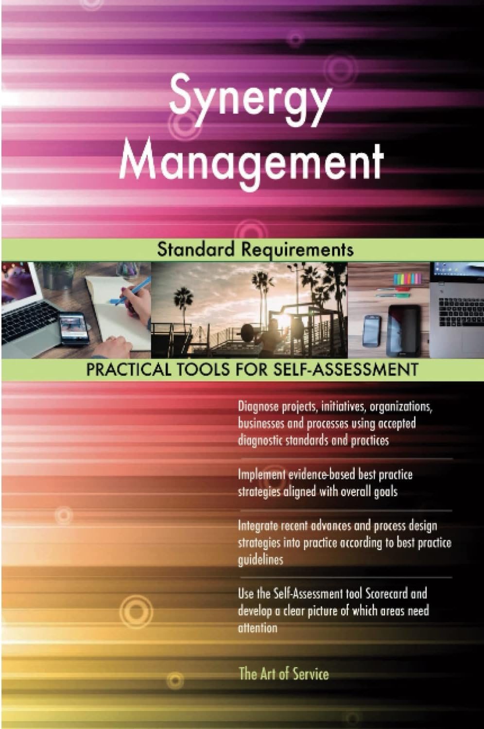 Synergy Management Standard Requirements