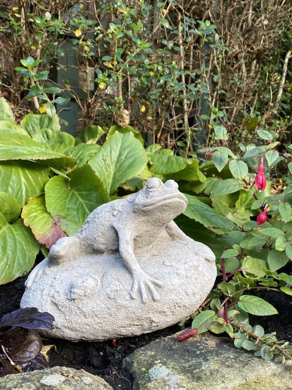 DGS STATUES – Stone Cast, Frog Resting on Rock, Small, Hand Finished, Statue, Sculpture, Pond Ornament