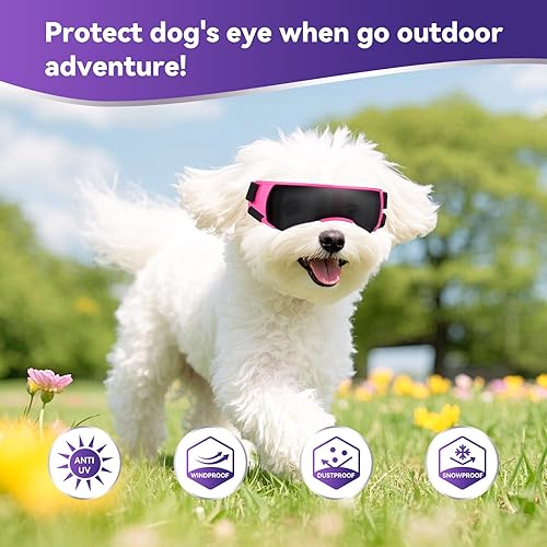Miniatura 7 de Enjoying Gafas de sol para perros pequeños, protección UV, resistentes al viento, antivaho para perros, para uso de ojos de mascotas, color azul