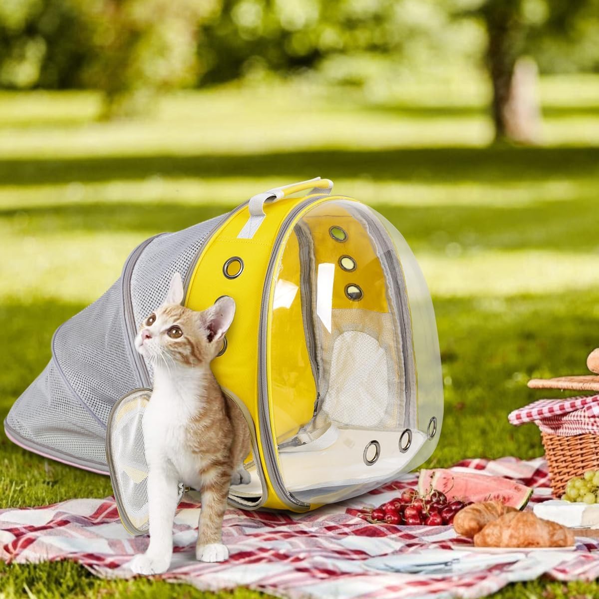 Adventure Awaits: The Ultimate Expandable Cat Backpack for Outdoor Explorations!