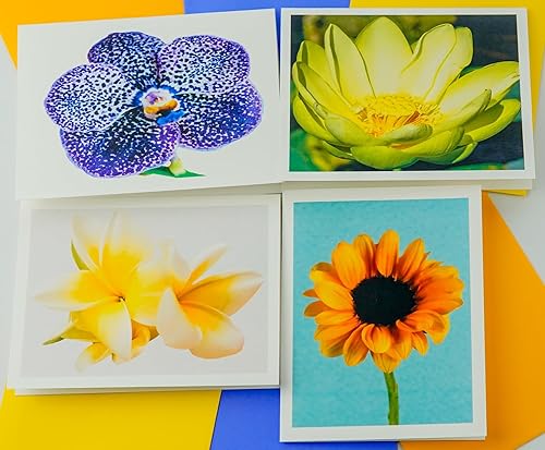 Miniatura 140 de Blooming Flowers – Orquídea Phalaenopsis – Tarjetas fotográficas de alta gama, pesadas y suaves, 8 con 10 sobres de colores, juego en caja