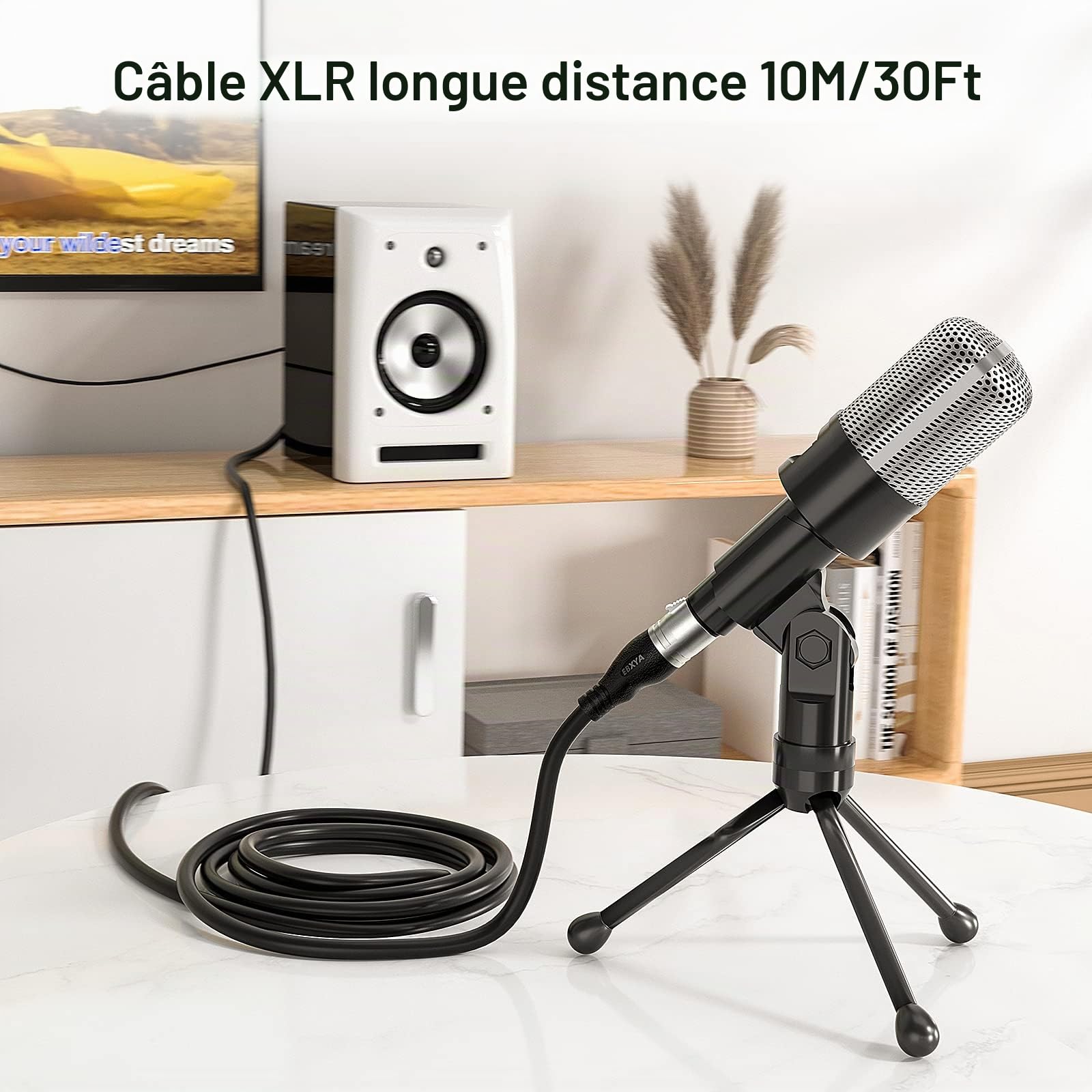 EBXYA Câbles Microphone XLR Équilibrés 10M 2 Pack, Câble Audio Professionnel 3 Broches Mâle vers Femelle pour DMX, Studio, Home Studio et Équipement Audio