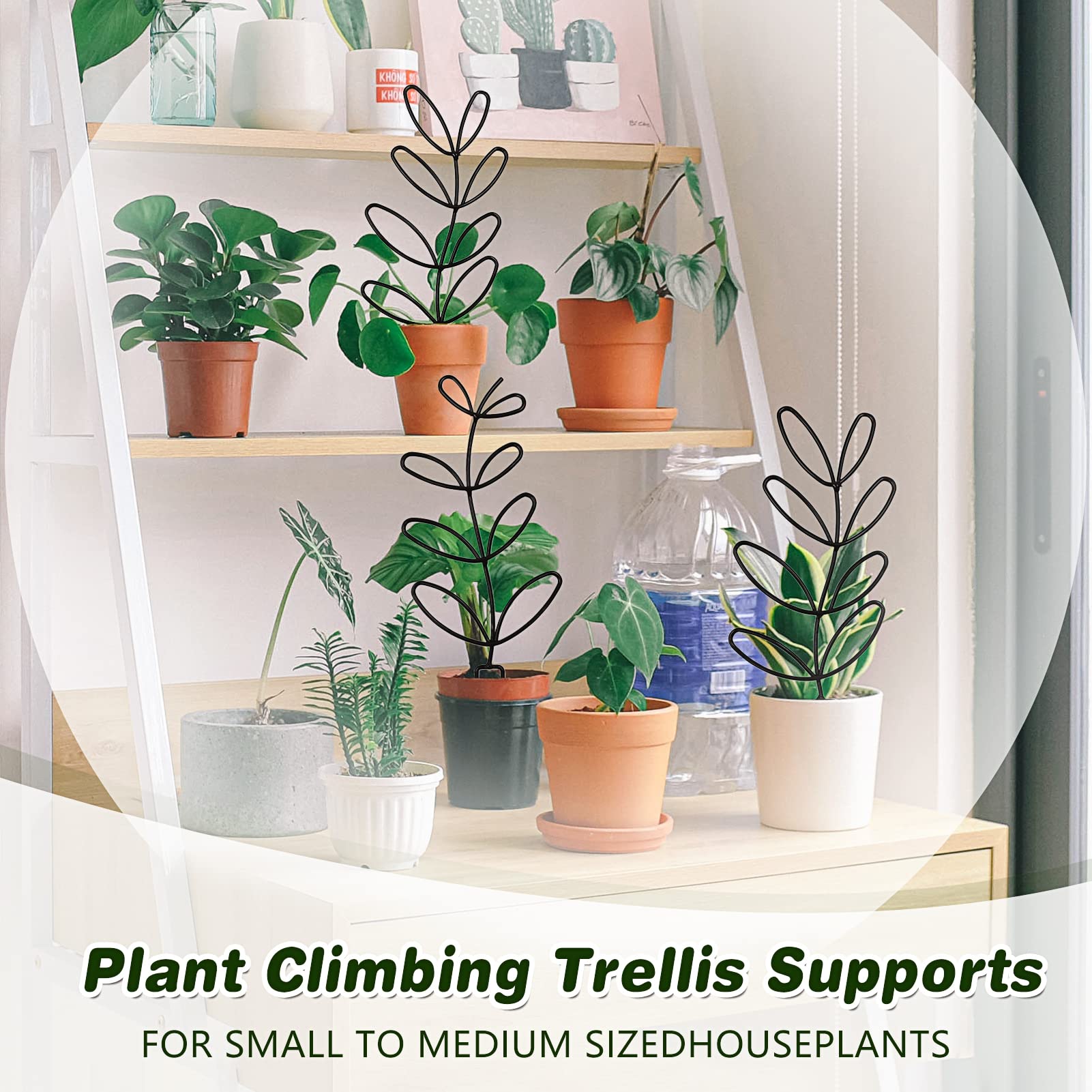 Treillis Pour Plantes D'intérieur, 6 Treillis Empilables Pour Plantes Grimpantes D'intérieur