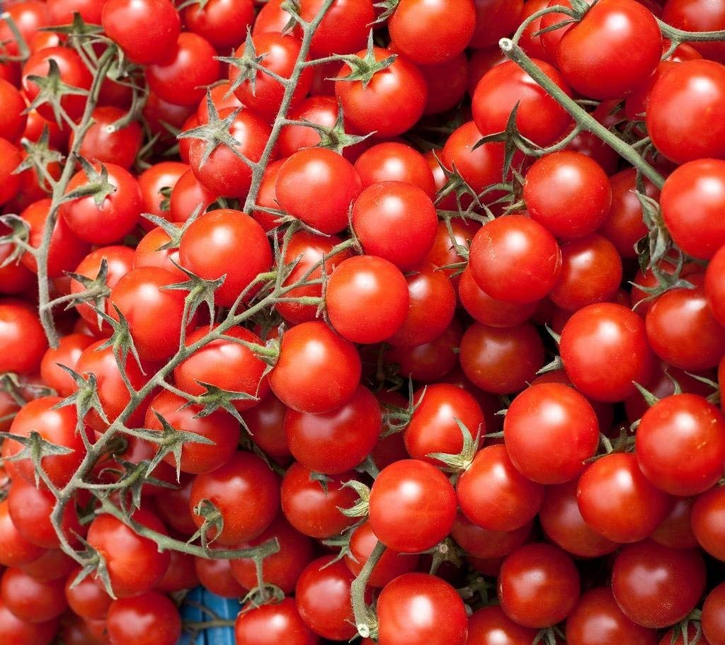 Creative Farmer Large Cherry Tomato Seeds (Pack of 30) (B07N57TKS6) Amazon Price History, Amazon Price Tracker