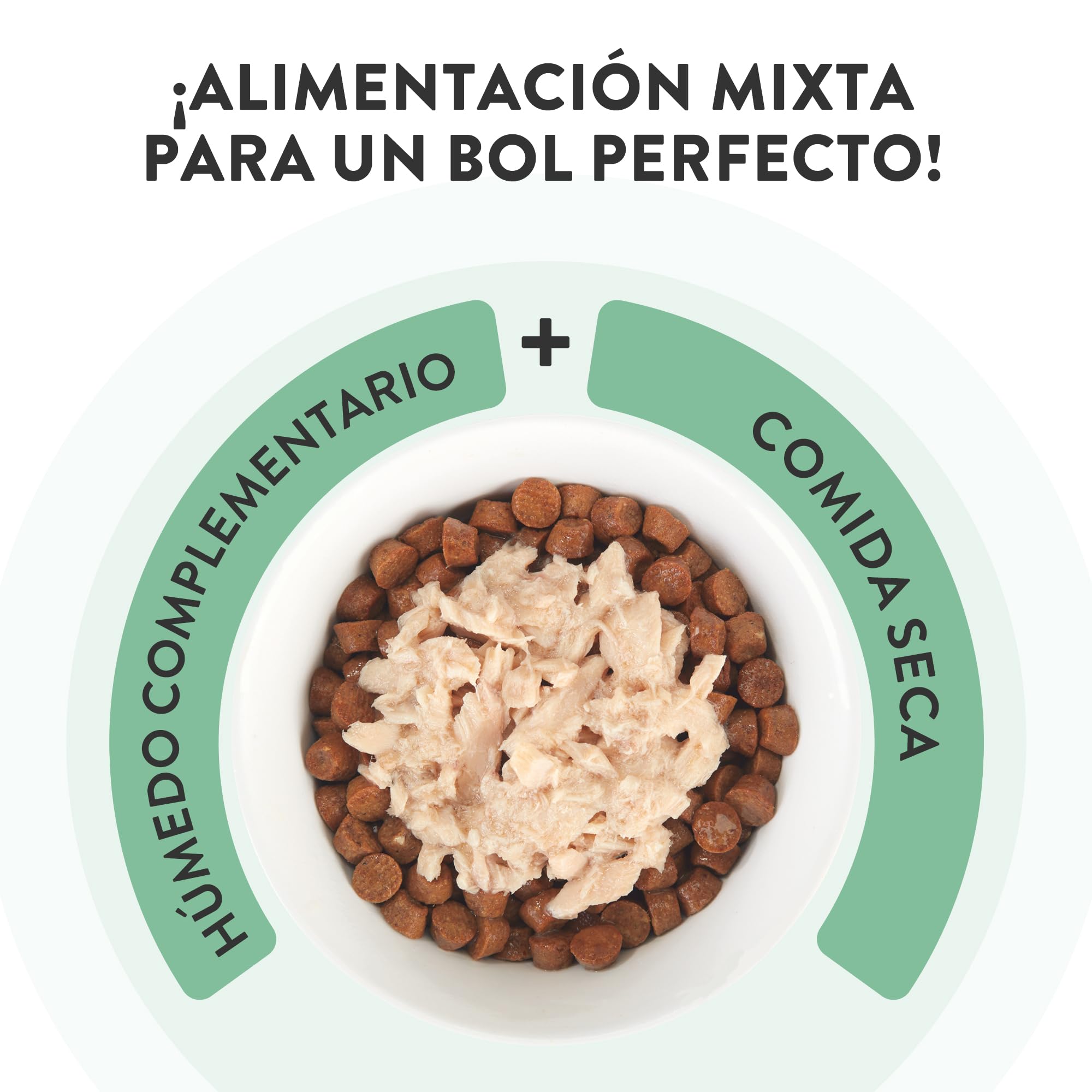 Schesir, Sopa con Filetes de Pollo con Zanahorias y Calabaza, Cibo Húmedo Complementario para Gatos, Receta Original, 100% Natural, Cruelty-Free, 12 x 40g