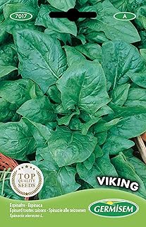 Germisem graines Epinard toutes saisons VIKING