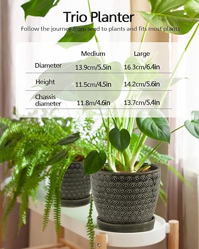 Miniatura 2 de Ceramic Plant Pots, 6.55.5 Inch Pots for Indoor Plants, Planters with Drainage Hole and Saucer, Flower Pots for Snake Plants and Cactus,