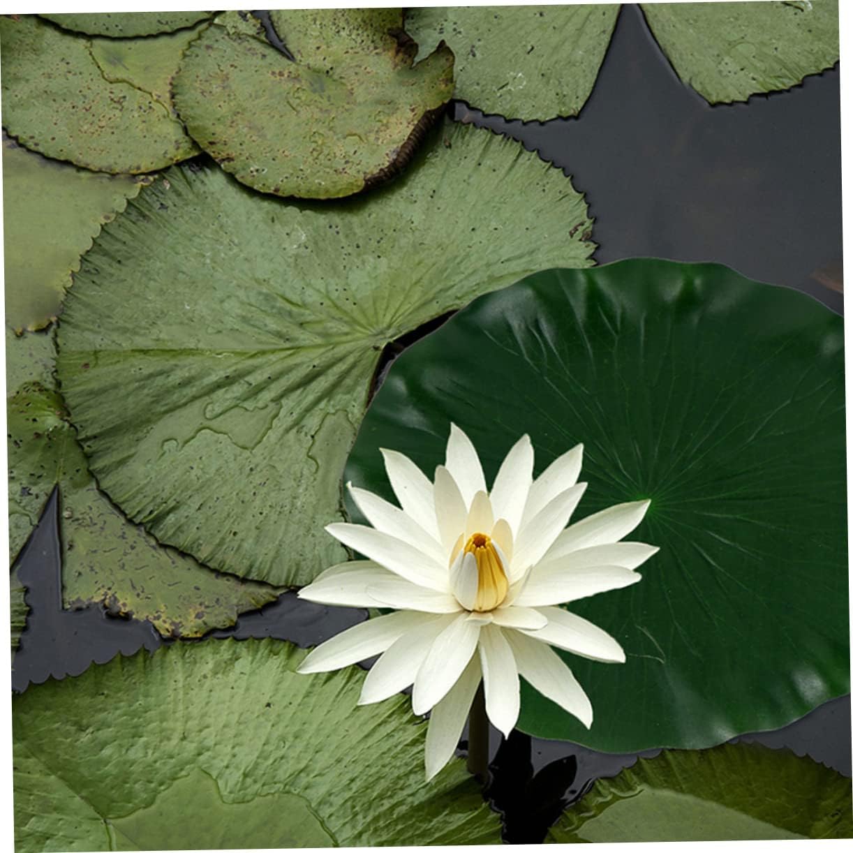 DOITOOL Artificial Lotus Leaf 11 Inch Floating Foam Lily Pads for Pond Fish Aquarium Decor 3 Pack Realistic Green Water Lily Leaf Ornaments for Patio Garden Pool Landscape