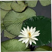 Vista 5 de DOITOOL Almohadillas de lirio artificial para estanque Koi: 3 piezas de espuma flotante artificial hojas de loto de 11 pulgadas, almohadillas