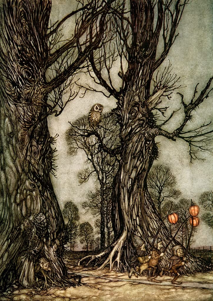 Affiche Toile Peter Pan Arthur Rackham Impression Portrait 60x90cm - 5