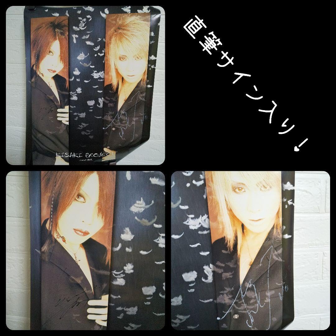 レア！V系バンド 特典・非売品 B2ポスター ガーデン ナイトメア ヴィドール Amazon.co.jp: V系バンド 特典 B2ポスター ガーデン ナイトメア