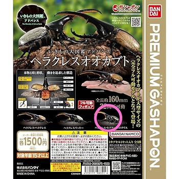 ヘラクレスオオカブト　オンライン版　2種　リッキー　セプテントリオナリス ヘラクレスオオカブト オンライン版 2種 リッキー