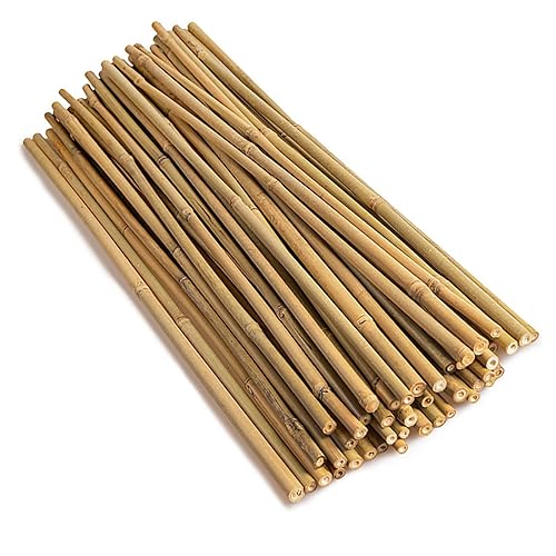 18in Natural Bamboo Plant Stakes 50pcs for Tomatoes, Beans, Flowers,