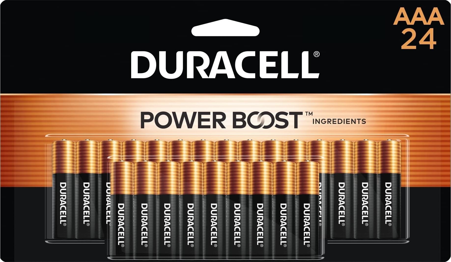 Duracell Coppertop AAA Batteries, 24 Count