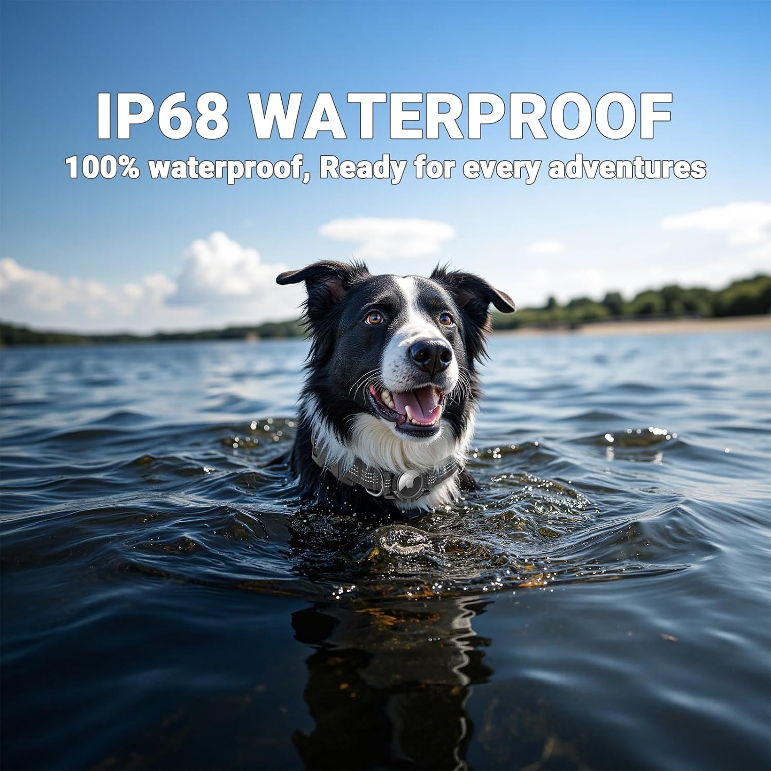 AirTag Dog Collar, IP68 Waterproof Integrated Air Tag Dog Collars image 3