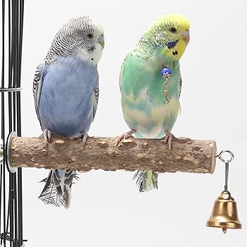 木製鳥止まり木 カラフルビーズ付き Amazon | 鳥止まり木のおもちゃ木製ビーズカラフルなオウム咀嚼
