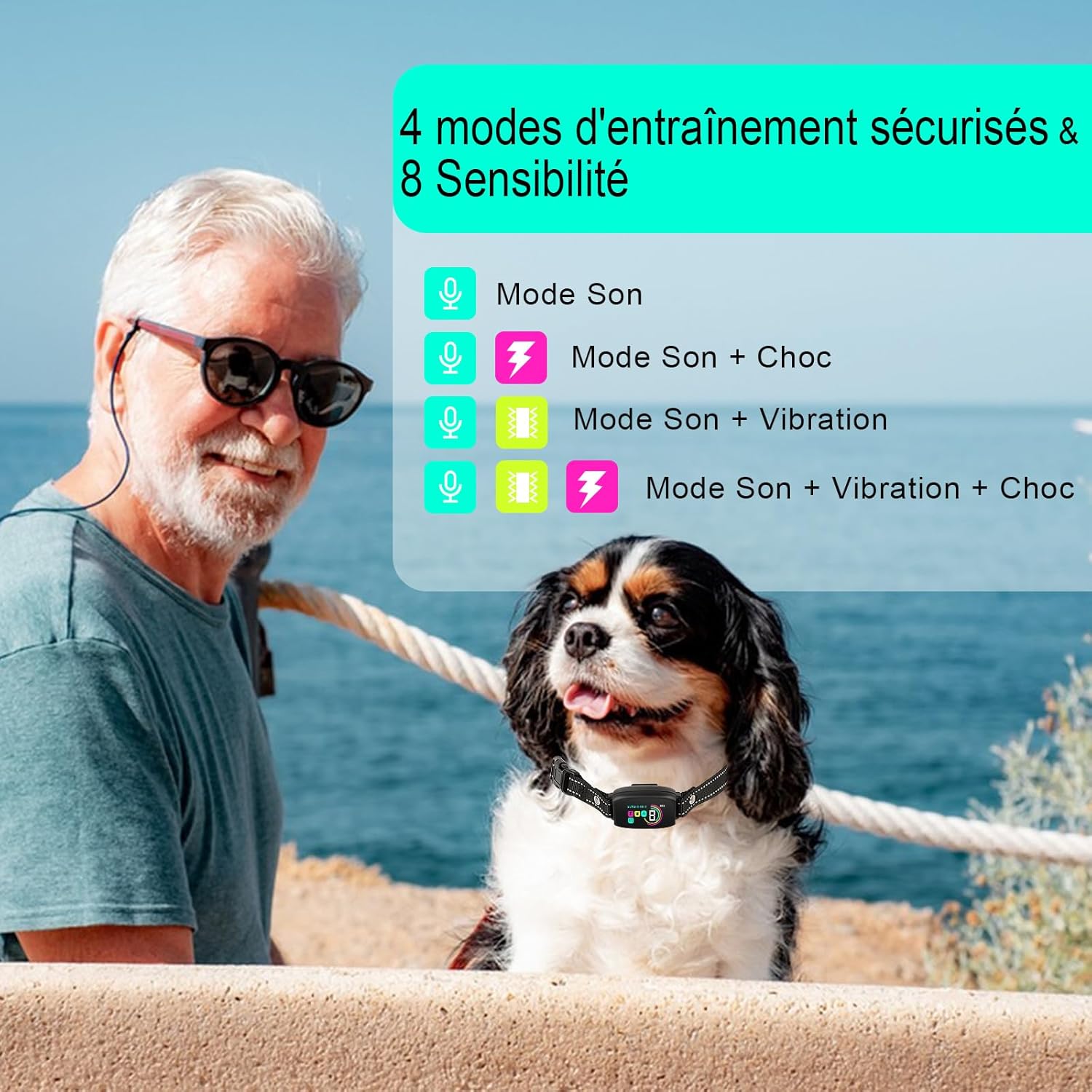 Collier anti aboiement avec écran couleur