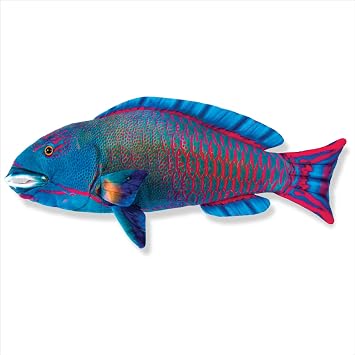 Real Planet 11" Parrot Fish Stuffed Animal - Realistic Plush Fishing Toys, Coral Reef Toys, Educational Stuffed Animals, Ocean Plush Sea Animals, Gifts for Kids