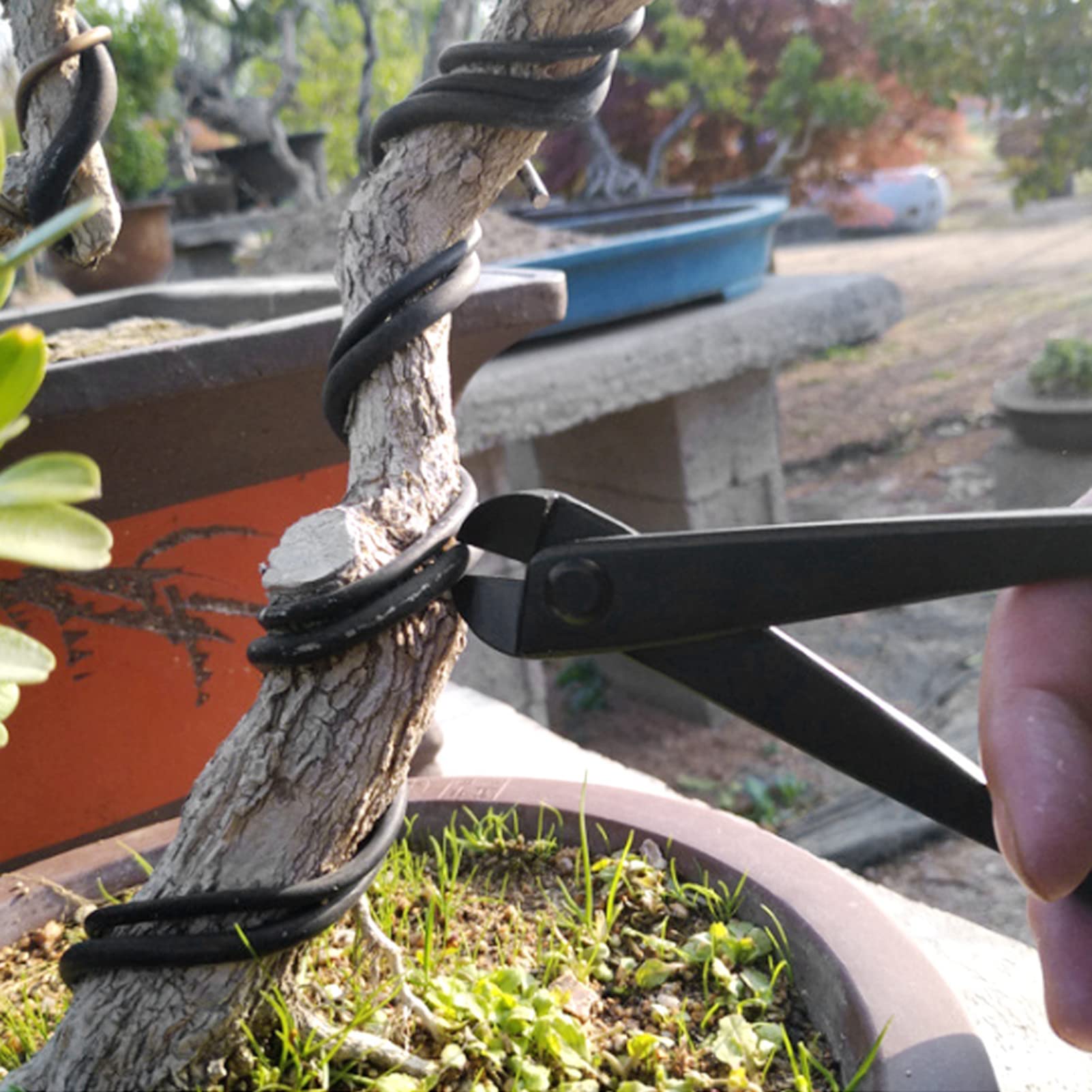 6-teiliges Bonsai-Trimmwerkzeug, Bonsai-Schere, Schneidwerkzeuge, Gartenscheren-Set aus Legiertem Edelstahl mit Aufbewahrungstasche für Gartenarbeit und -Pfle