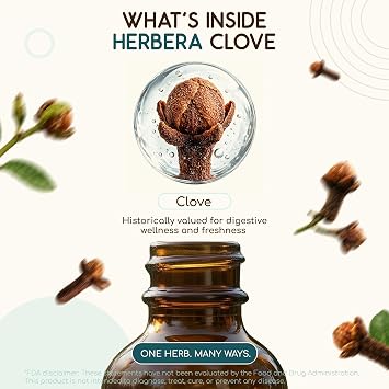 HerbEra Clove USDA Organic Tincture | Alcohol-Free Extract, Herbal Drops, Immune System Health | Certified Organic Clove (Syzygium Aromaticum) Dried Flower Buds (4 fl oz)