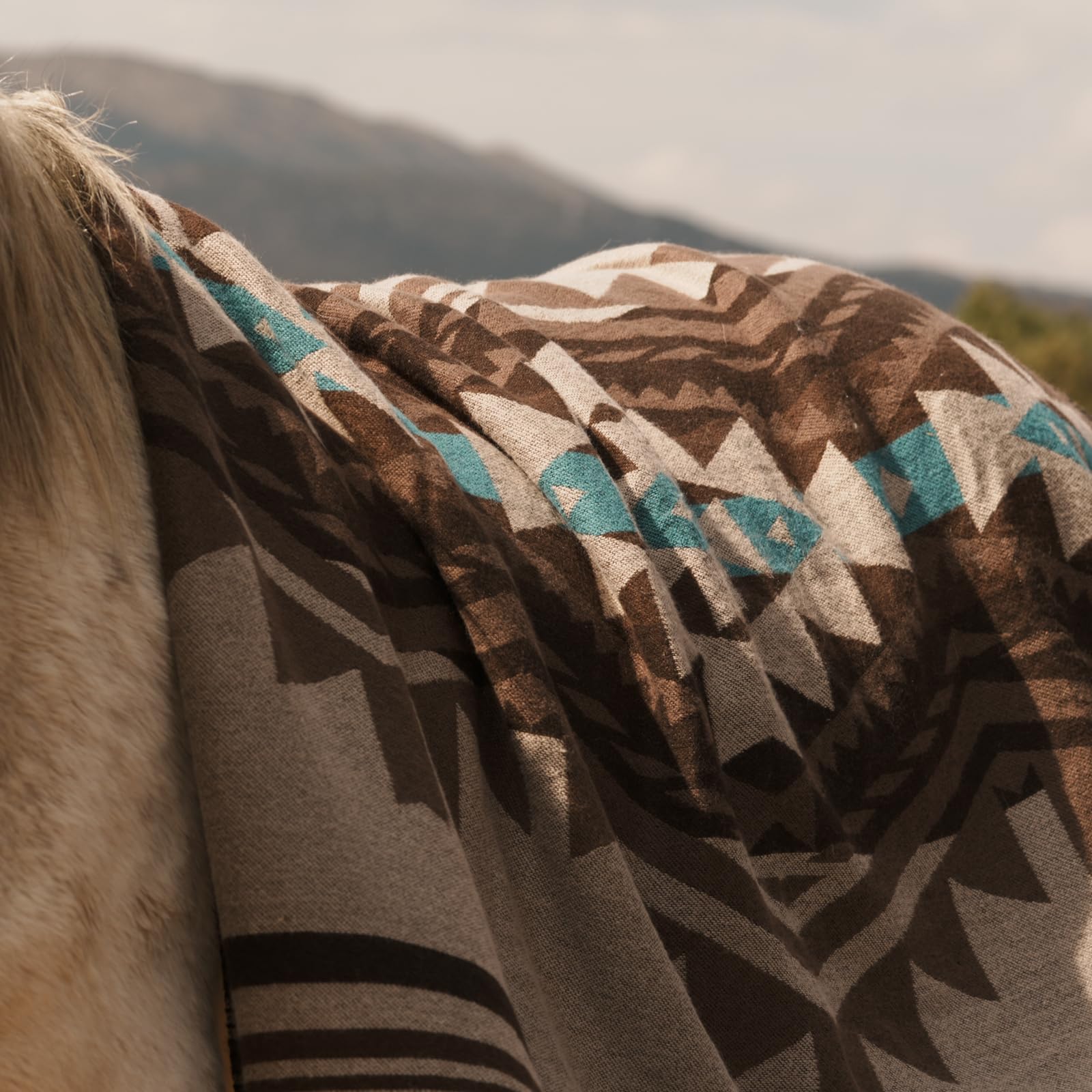 HORIMOTE HOME Aztec Sherpa Fleece Throw Blanket- Ultra-Soft Cosy Sofa Throws for Camping & Outdoor &Garden, Boho Couch Decor - Image 4