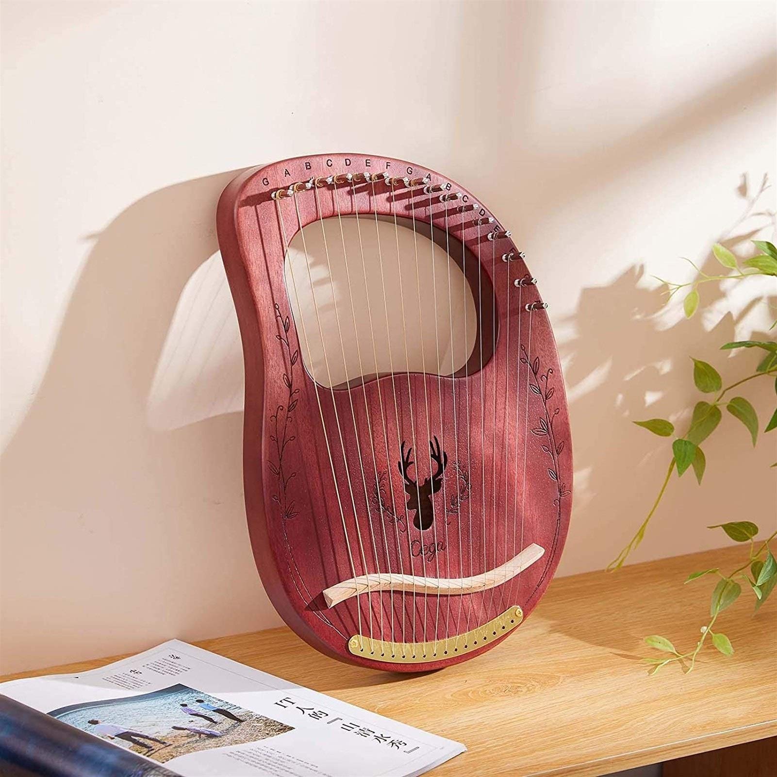 Corde Per Contrabbasso Thomastik Precision - Set 4/4 Media Tensione Per Scala 1100mm - Foto 4