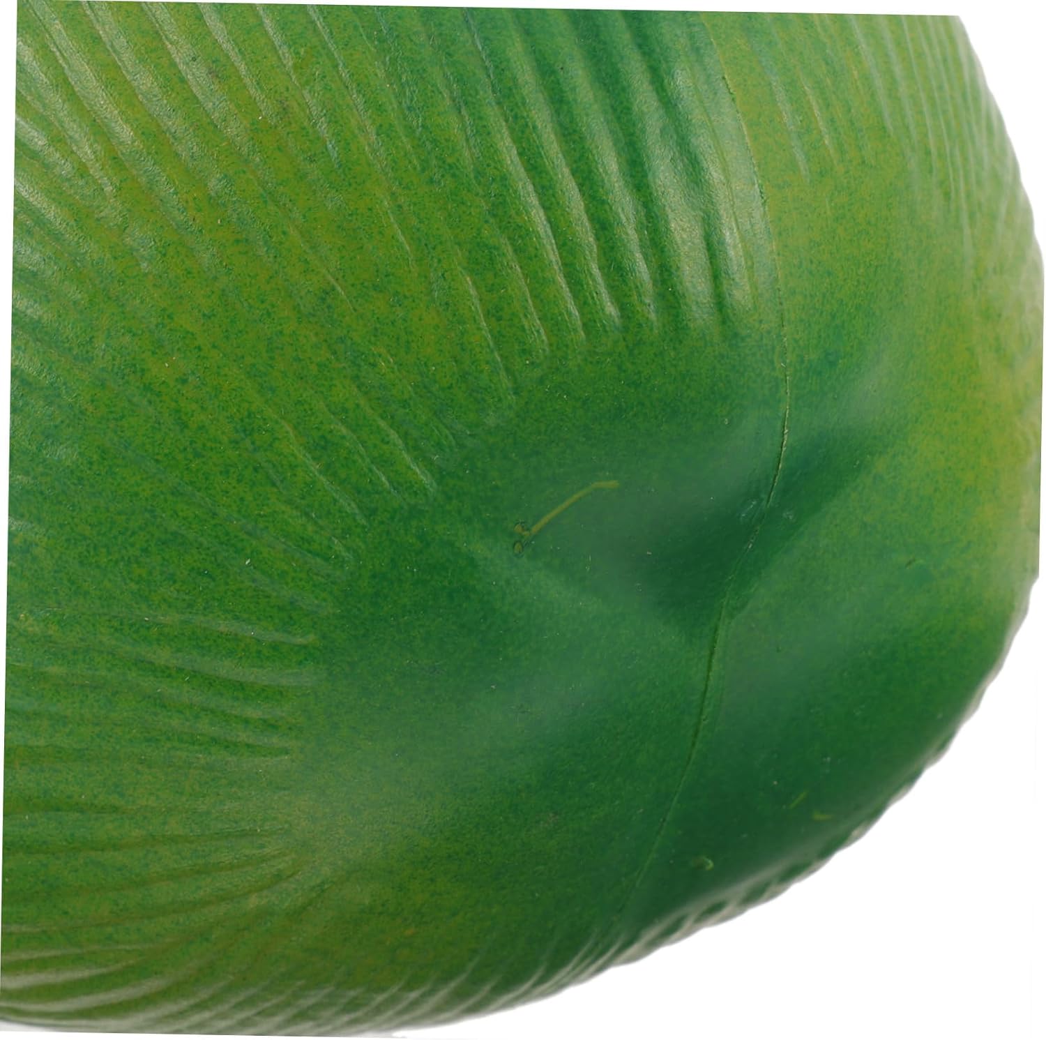 Cabilock 8 Pcs Simulated Coconut Decoration True Shell Lifelike Coconut Fruits Indoor Coconut Fake Fruits Outdoor Tropical Realistic Coconut Decorations Artificial Coconuts Props PVC