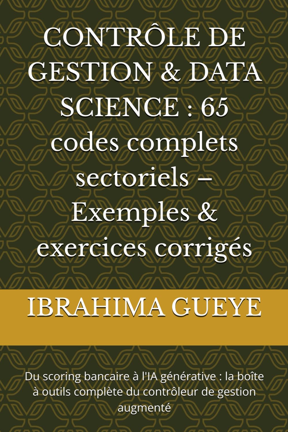 CONTRÔLE DE GESTION & DATA SCIENCE : 65 codes complets sectoriels – Exemples & exercices corrigés: Du scoring bancaire à l'IA générative : la boîte à outils complète du contrôleur de gestion augmenté