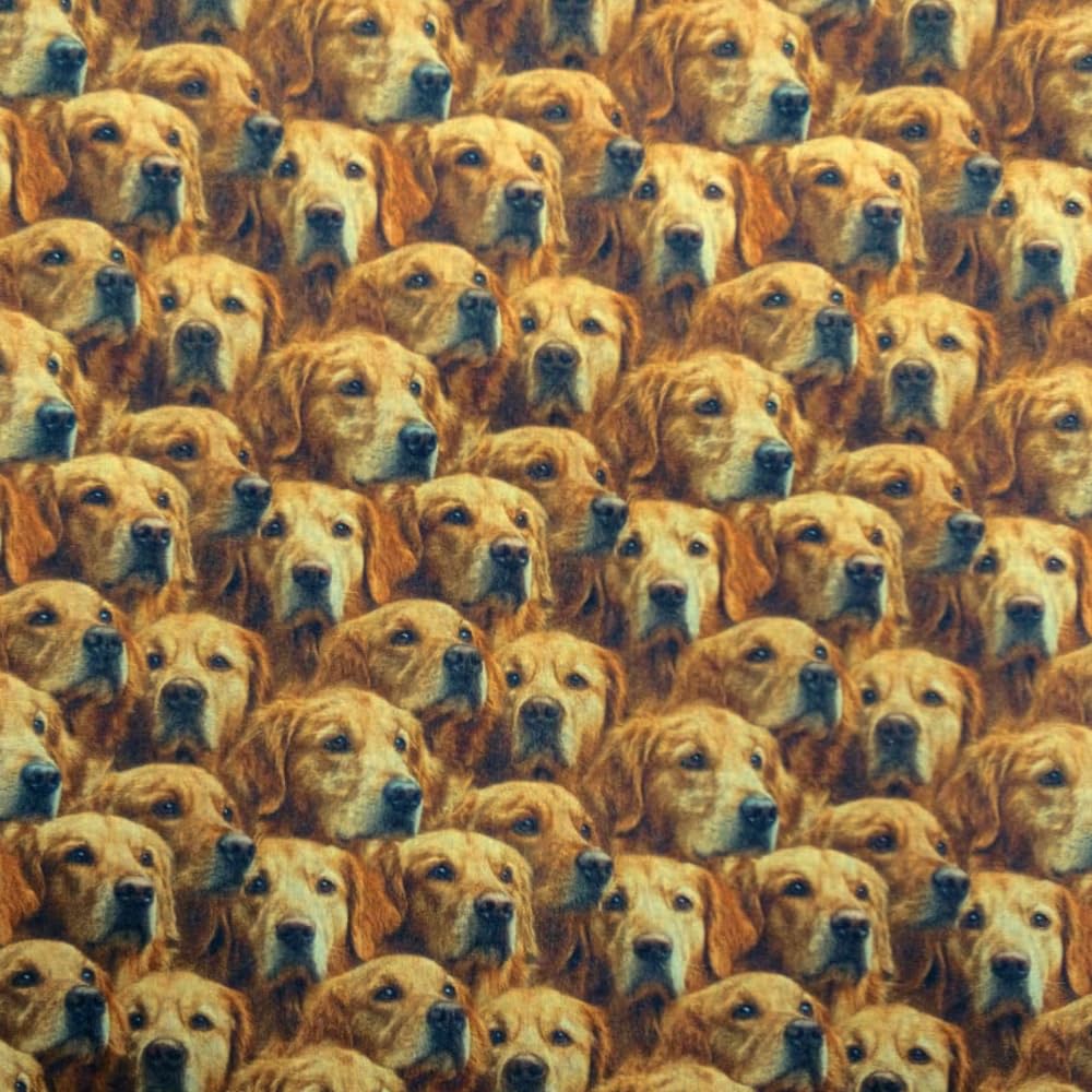 Polycotton Fabric Oh Sew Crafty Realistic Golden Retriever Dog Print 110cm Wide (Price Per Metre)