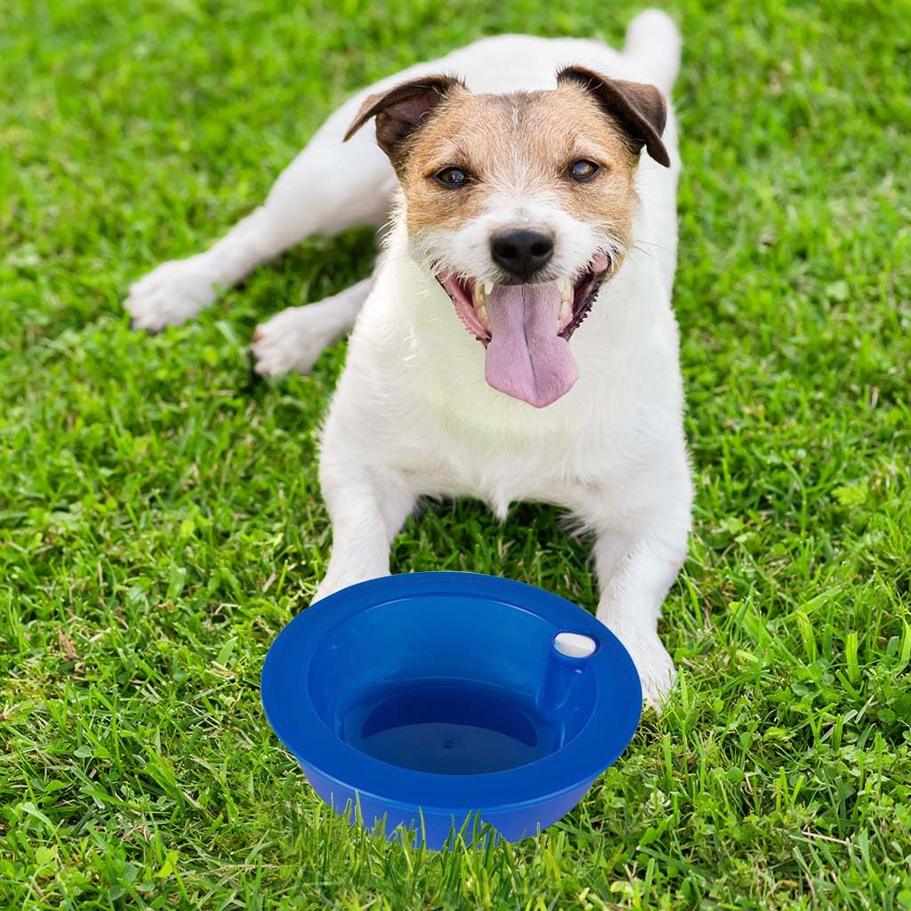 Pet Brands Summer Cooling Hydrating Pet Bowl