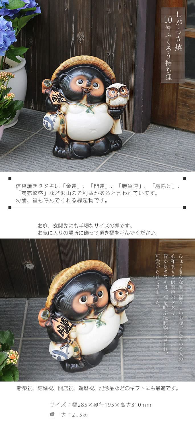 Amazon.co.jp: 信楽焼 たぬき【10号白ふくろう持ち狸 ta-0353】縁起物