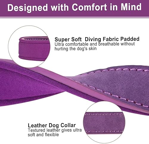 Miniatura 3 de Collar de perro de cuero acolchado suave, collar de perro personalizado con placa de nombre grabada, collares de cuero personalizados de alta