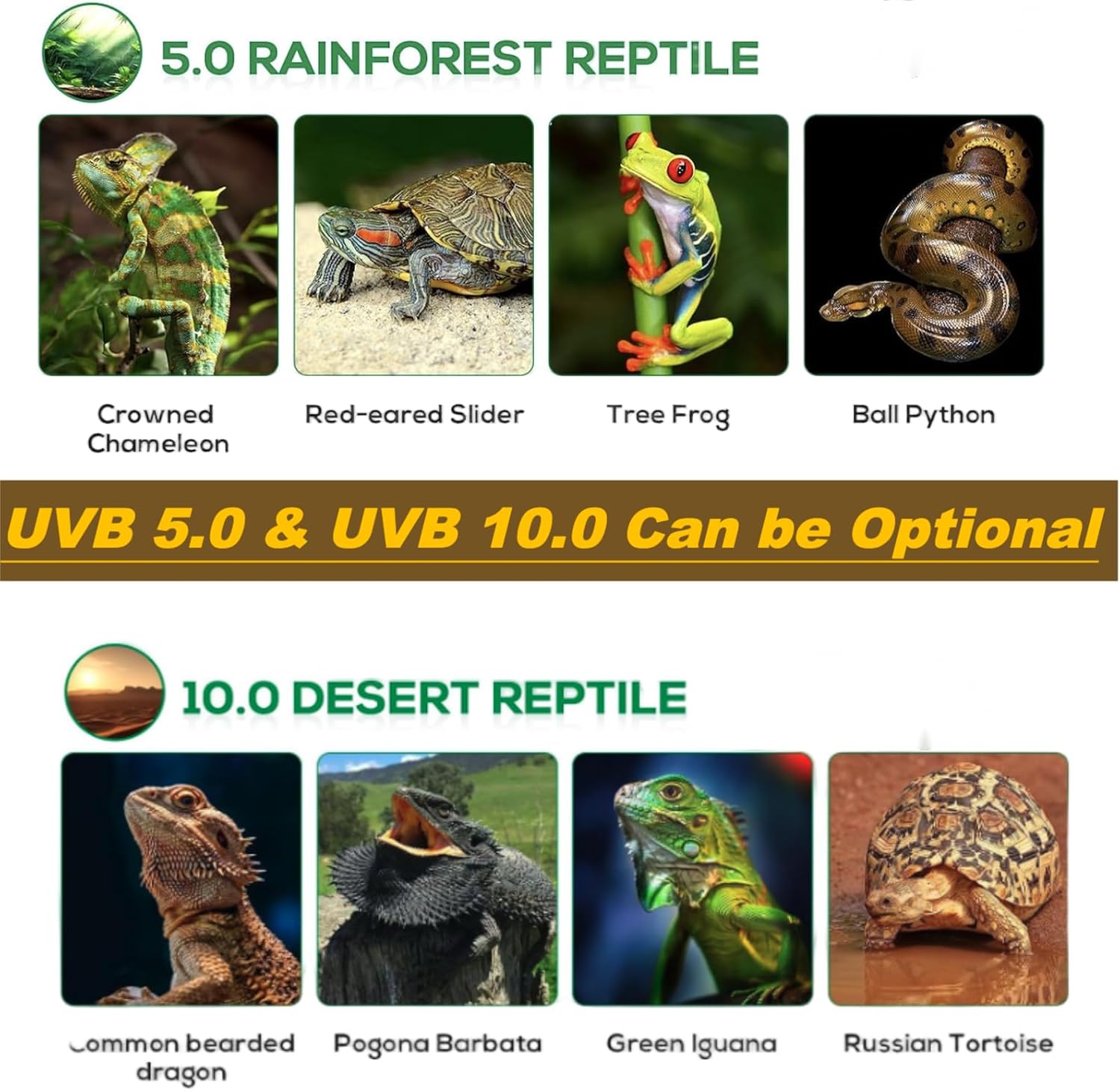 Premium 10.0 UVB/ 5.0 UVB Selectable LED Reptile Light with Clip 5W High-Intensity LED Reptiles Lamp with Remote Contorl UVB+UVA+White+Blue