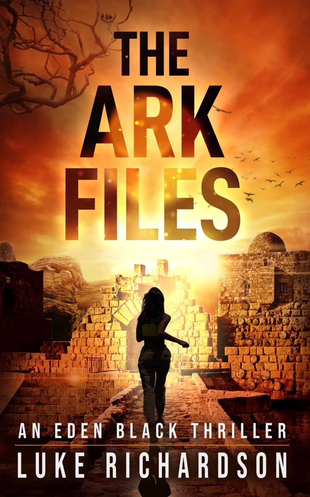 The Ark Files: A pulse-pounding archaeological thriller: 1 (Eden Black Archaeological Thrillers)