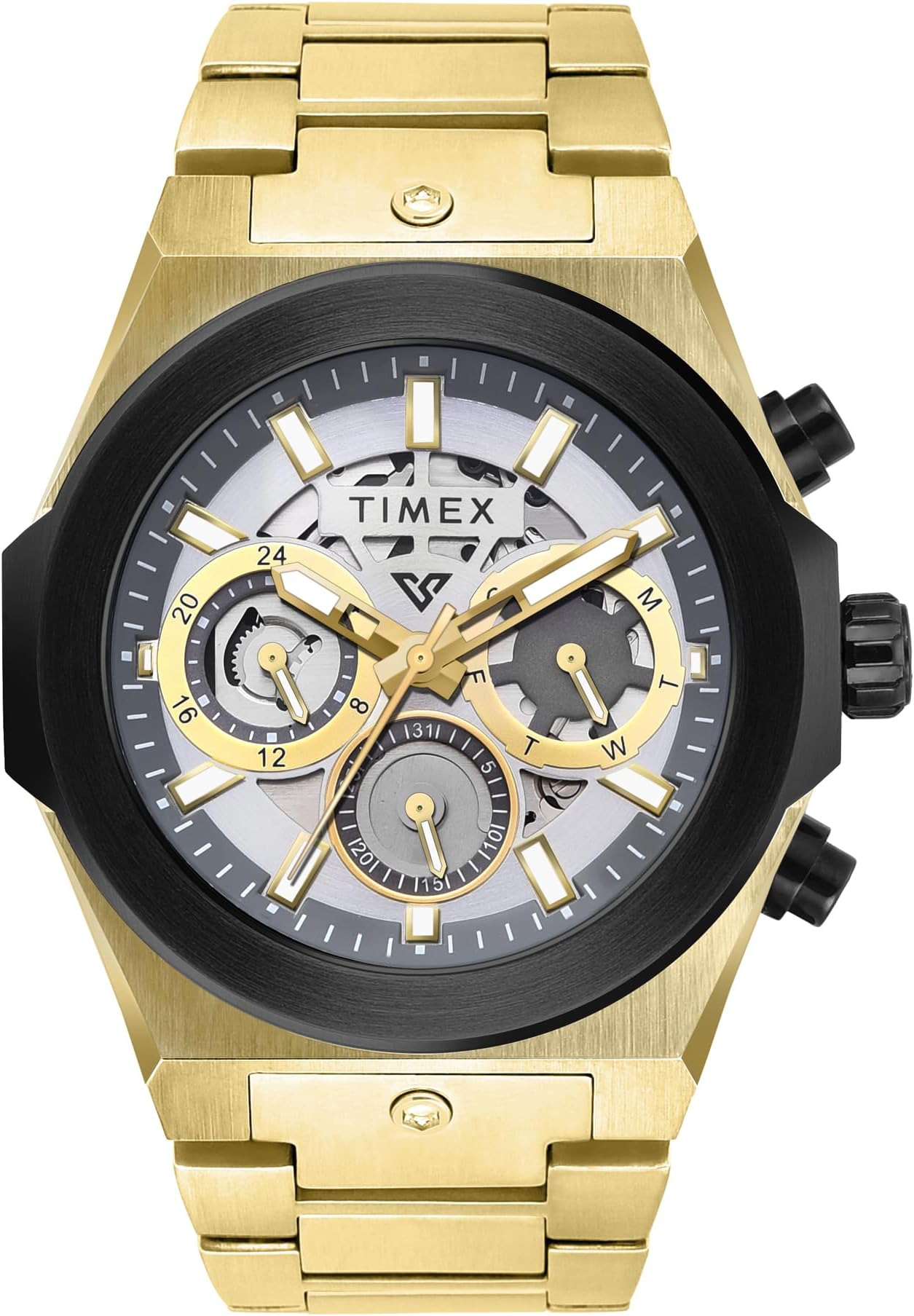 Vector Men Dial Analog Watch