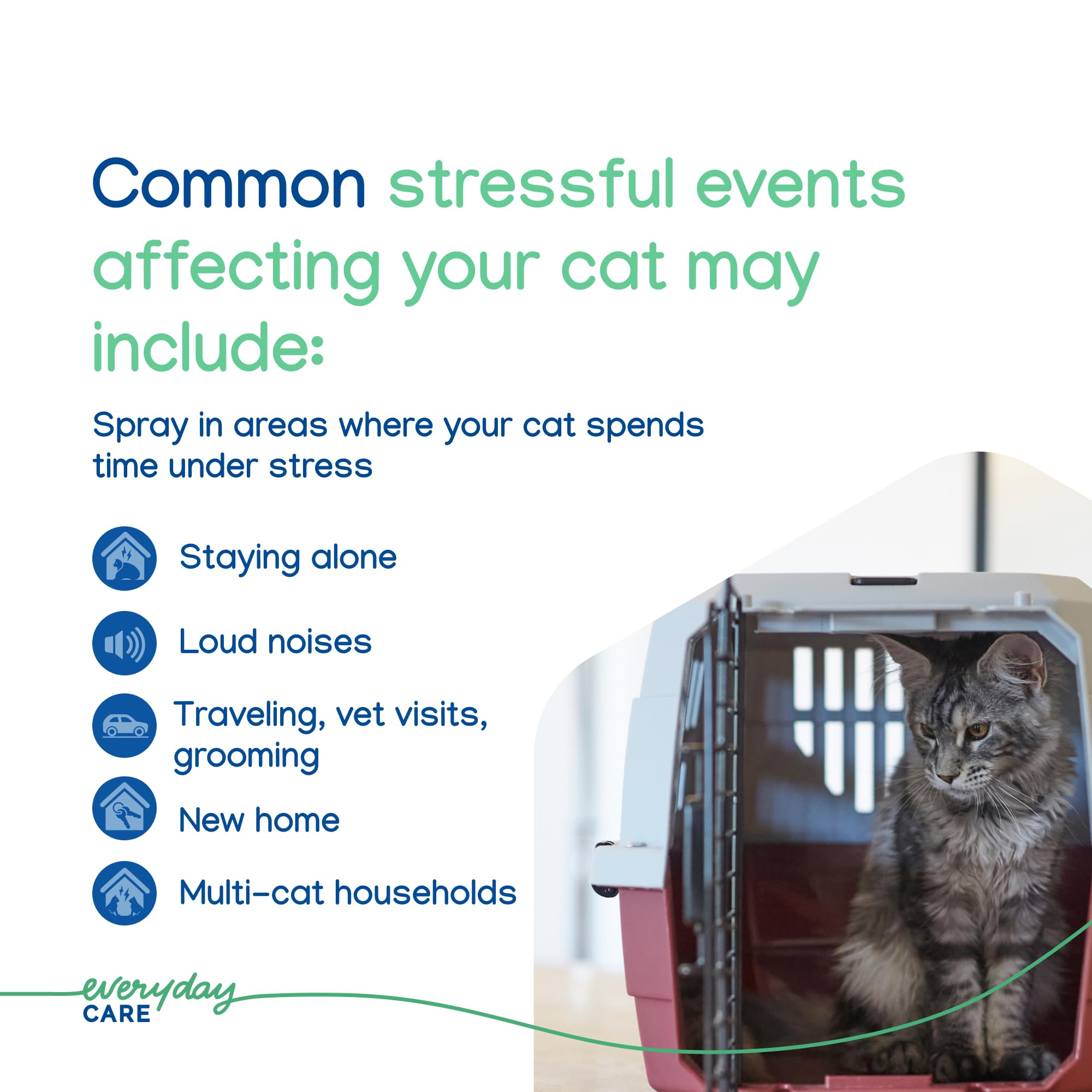 Virbac ZENIFEL™ Spray | Managing Stress-Related Behaviors in Kittens & Cats | Quick-Acting - Ideal for Unexpected Stressful Situations - image 5