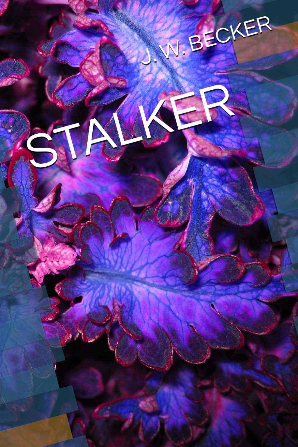 STALKER