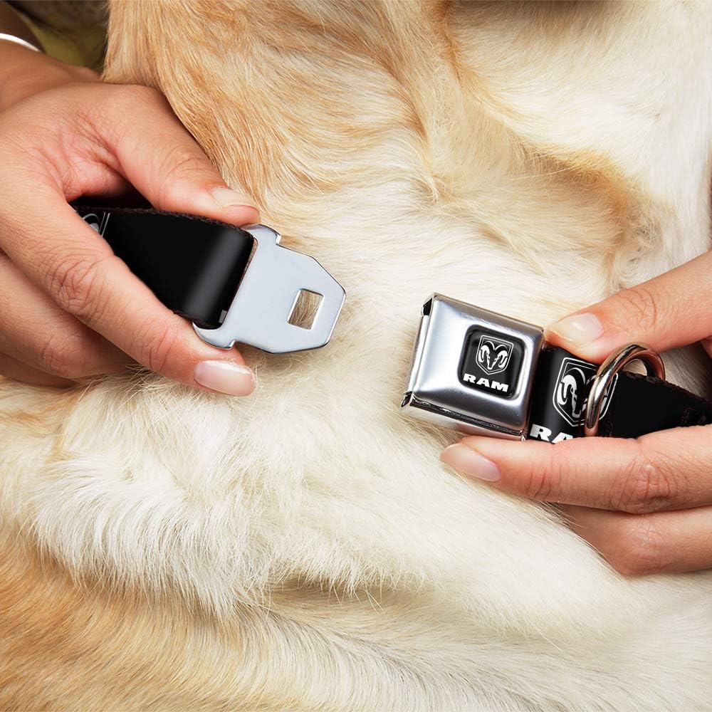 Buckle-Down Seatbelt Buckle Dog Collar - RAM Shield Logo/Bold Text Black/White - 1.5" Wide - Fits 13-17" Neck - Small