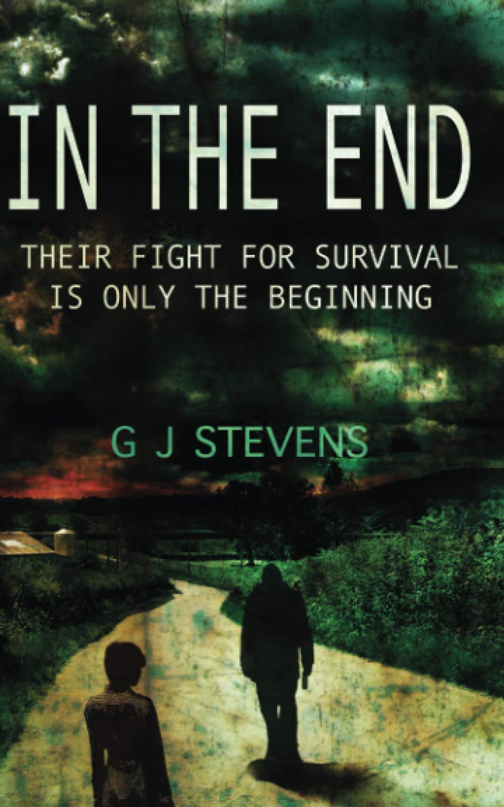 In The End: Their fight for survival is only the beginning: 1