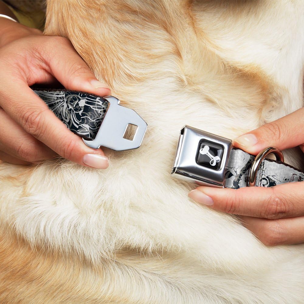 Dog Collar Seatbelt Buckle Gothic 1 15 to 26 Inches 1.0 Inch Wide