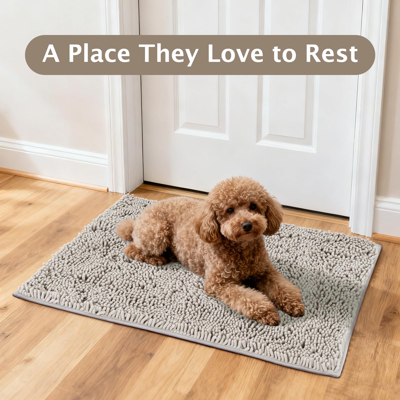 BVAGSS Tapis pour Chien à Entrée Anti-Boue,Super Absorbant Paillasson d'intérieur, Tapis d'Entrée Chenille à Séchage Rapide antidérapant, Lavable en Machine XH085 (Gris,60x90cm)