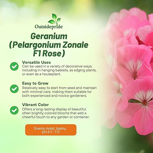 Miniatura 3 de Outsidepride Plantas de flores de jardín de rosas de geranio para contenedores cestas camas y cajas de ventana 25 semillas