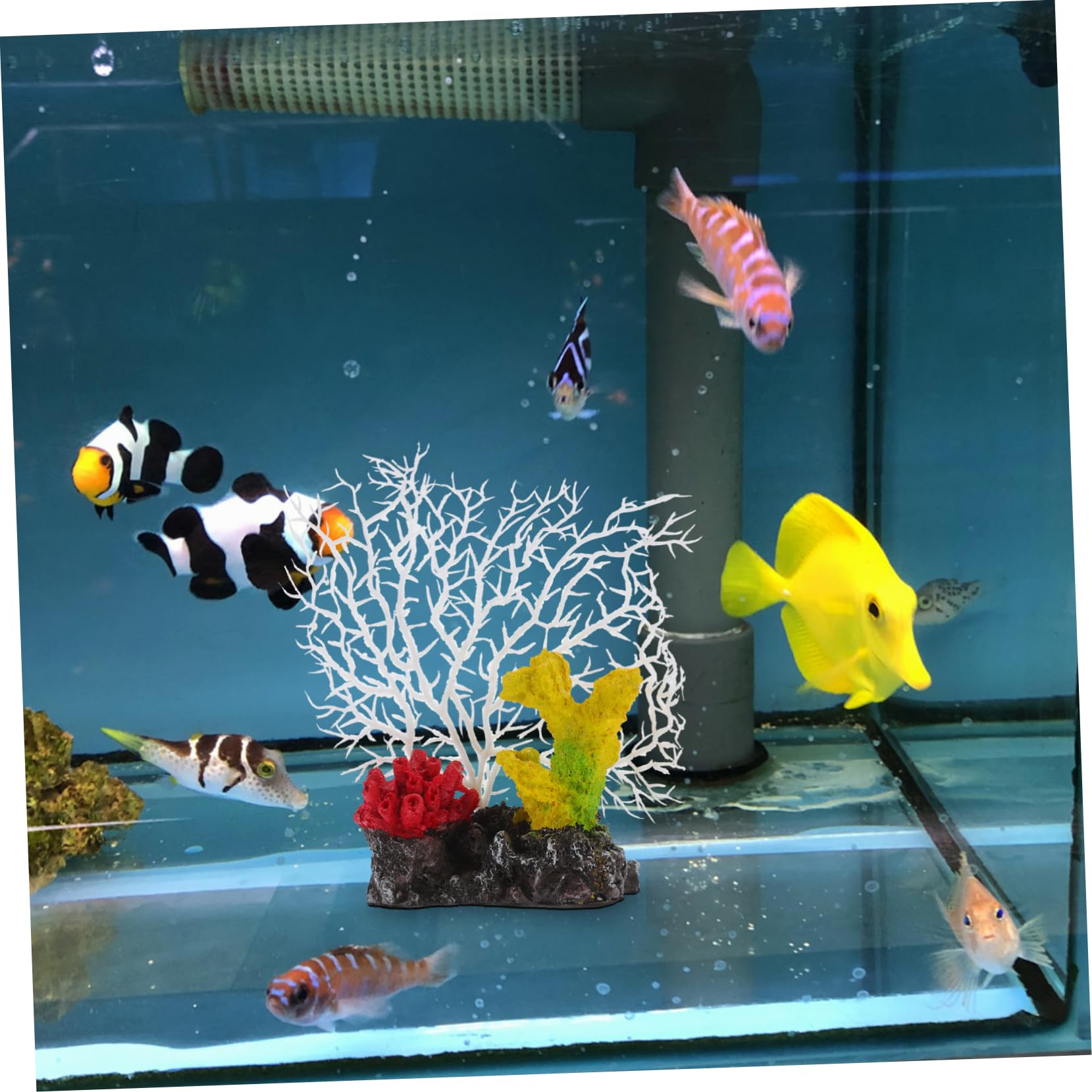 サンゴ礁 彫り物 置物 サンゴ礁 彫り物 置物