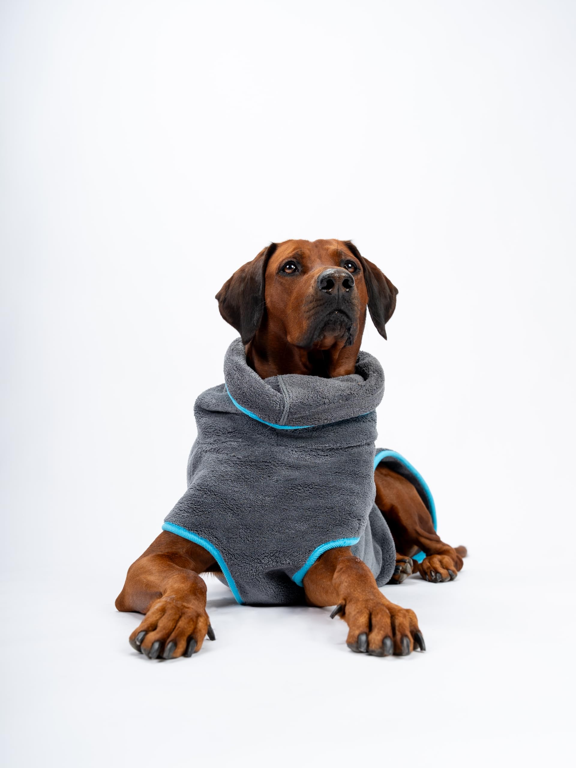TrendPet Dampfhund Premium Bademantel für Hunde, Supersaugfähig und in 11 Größen verfügbar - Passend zu jeder Hundegröße Gr. 06 | 45-50 cm