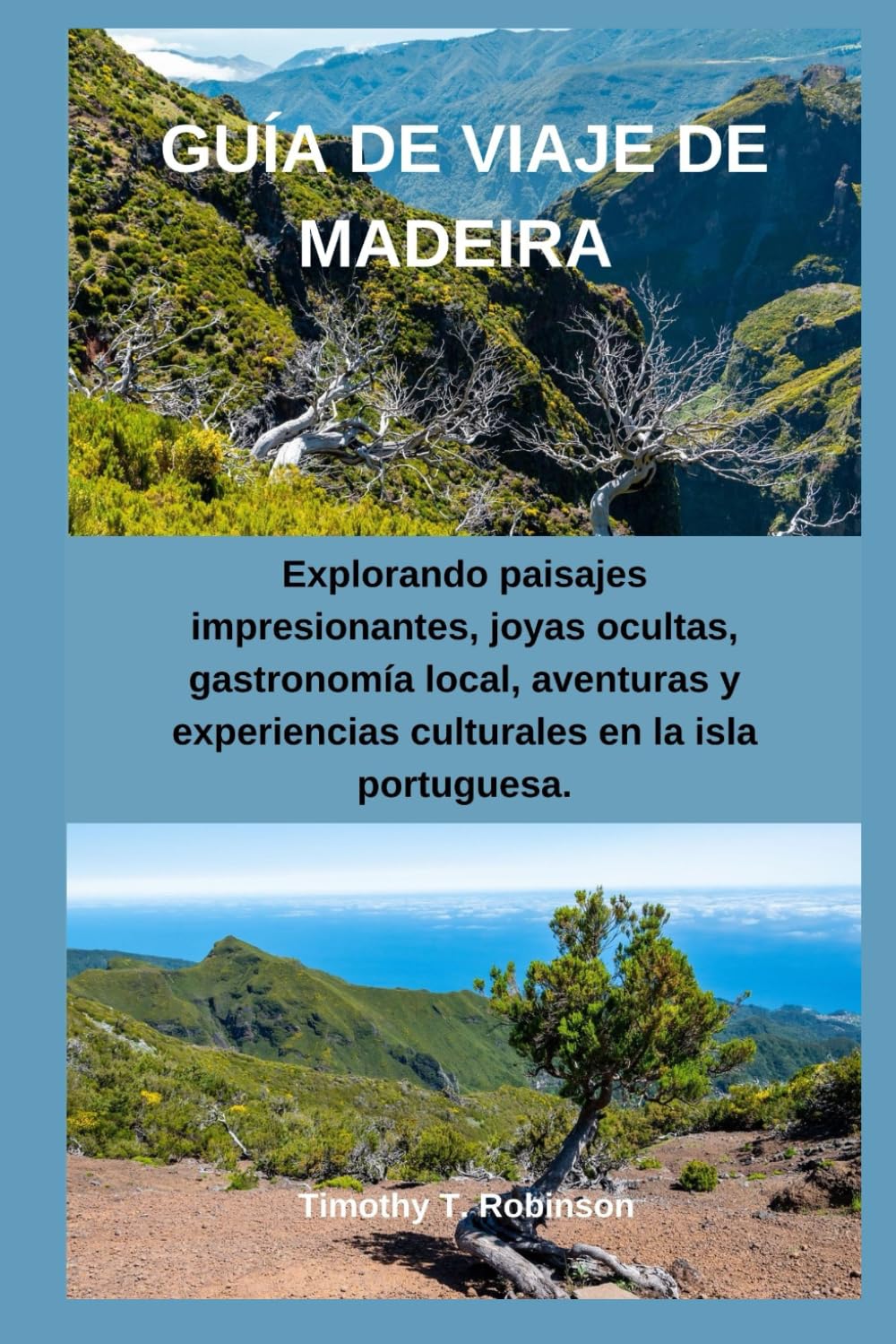 GUÍA DE VIAJE DE MADEIRA: Explorando paisajes impresionantes, joyas ocultas, gastronomía local, aventuras y experiencias culturales en la isla portuguesa.