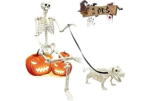 5.4Ft Halloween Skeleton Buddy