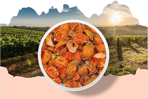 Miniatura 2 de Polvo de extracto de fruta de Gardenia puro orgánico natural, 1.1 libras (17.64 oz)