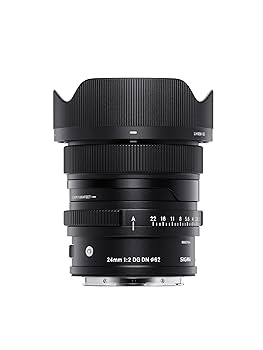 Amazon.co.jp: シグマ(Sigma) レンズ 24mm F2 DG DN Sony ソニー
